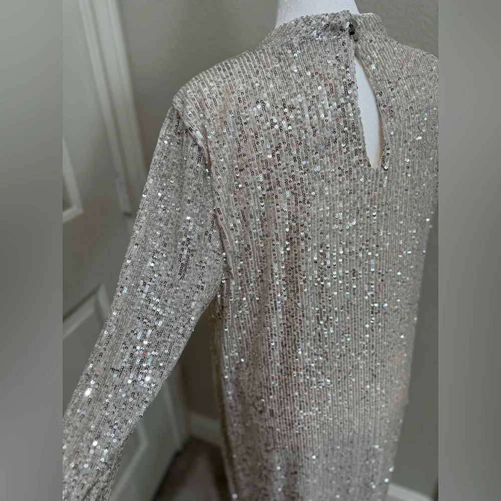 Halogen Sequins Silver Dress with Cream Lining, XL - Picture 4 of 11